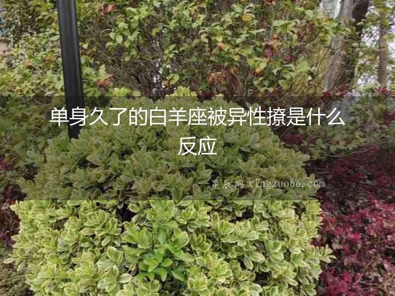 單身久了的白羊座被異性撩是什么反應(yīng)