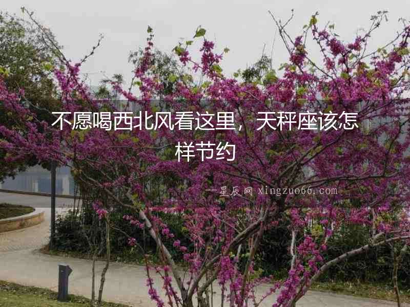 不愿喝西北風看這里，天秤座該怎樣節約