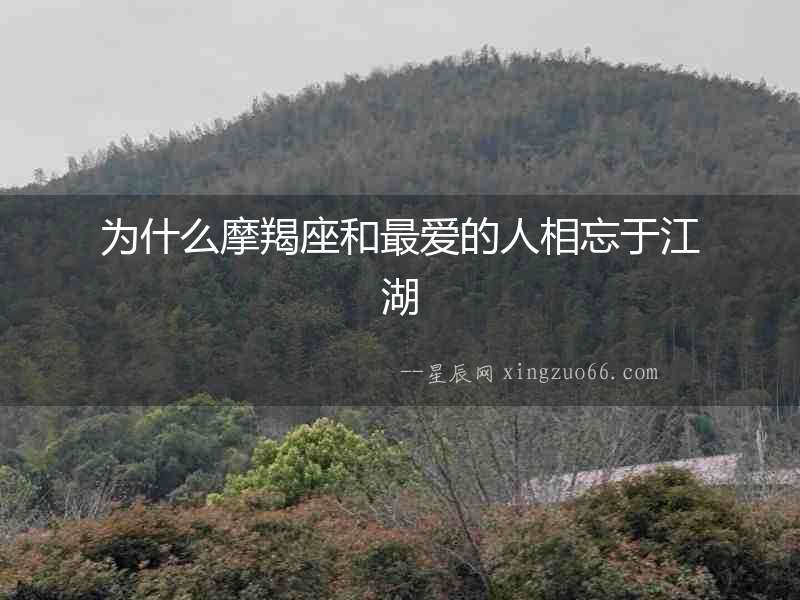 為什么摩羯座和最愛的人相忘于江湖