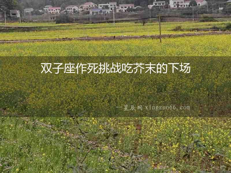 雙子座作死挑戰(zhàn)吃芥末的下場(chǎng)