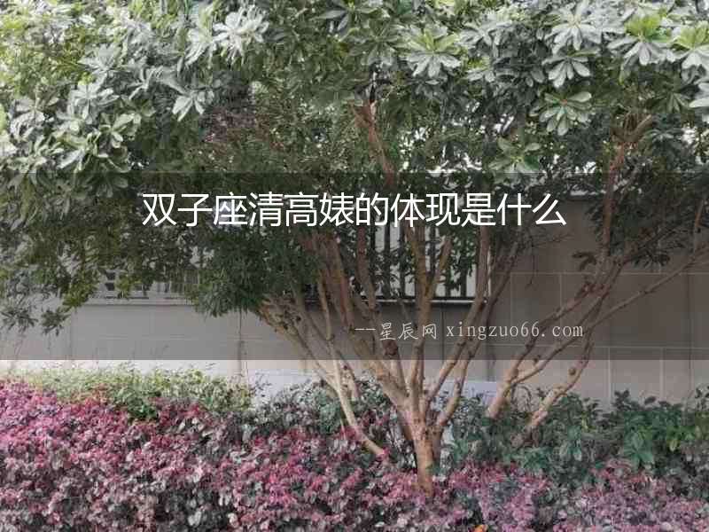 雙子座清高婊的體現是什么
