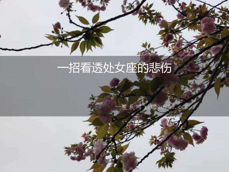 一招看透處女座的悲傷