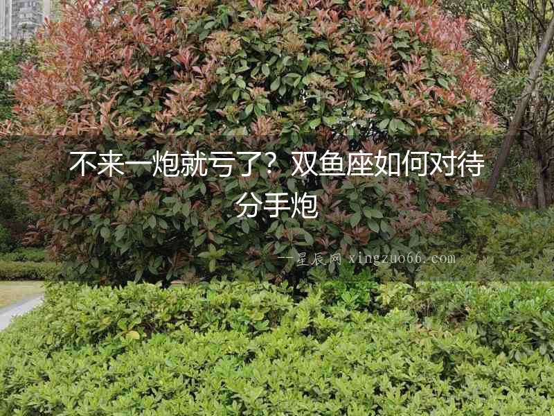 不來一炮就虧了？雙魚座如何對待分手炮