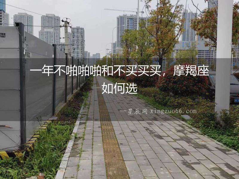 一年不啪啪啪和不買買買，摩羯座如何選