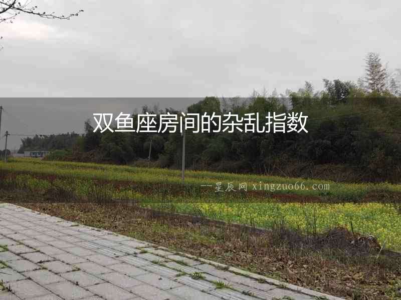 雙魚座房間的雜亂指數(shù)