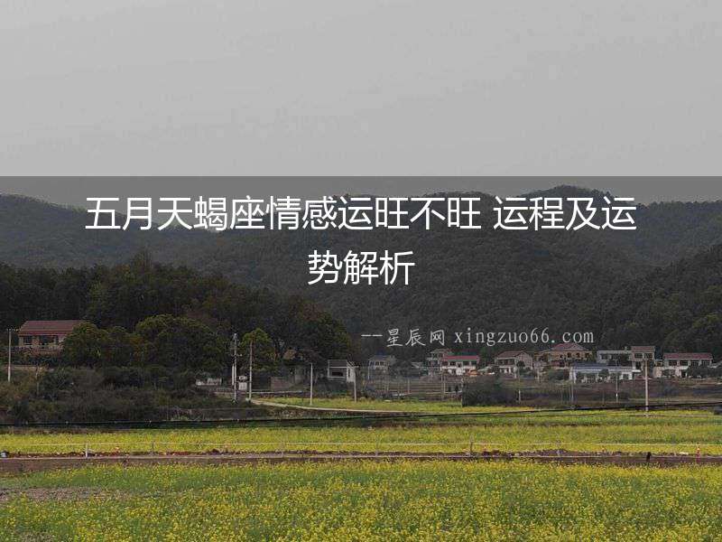五月天蝎座情感運(yùn)旺不旺 運(yùn)程及運(yùn)勢(shì)解析
