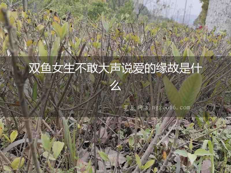 雙魚女生不敢大聲說愛的緣故是什么