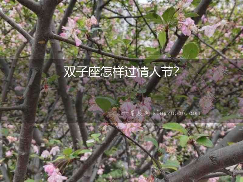 雙子座怎樣過情人節？