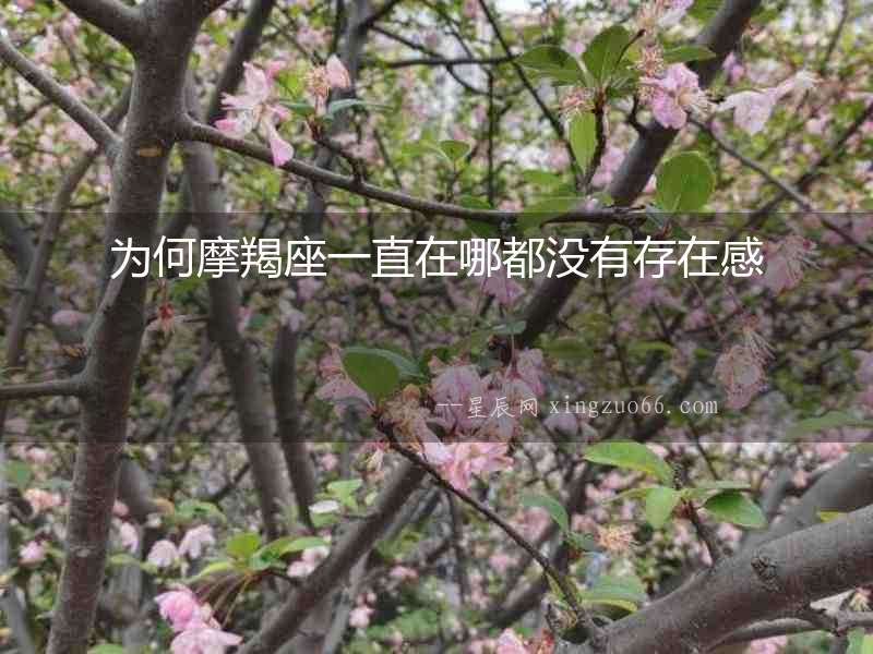 為何摩羯座一直在哪都沒有存在感