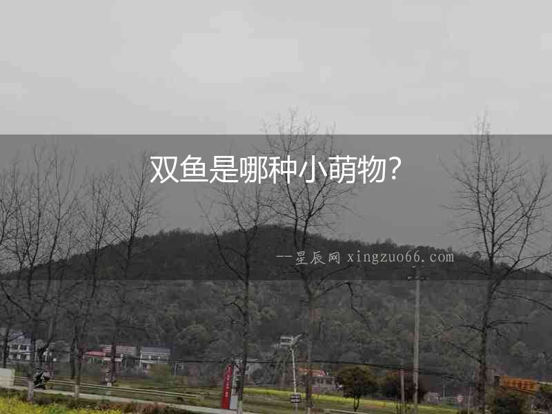 雙魚是哪種小萌物？