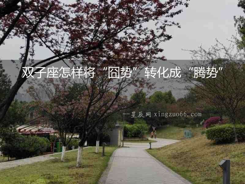 雙子座怎樣將“囧勢(shì)”轉(zhuǎn)化成“騰勢(shì)”