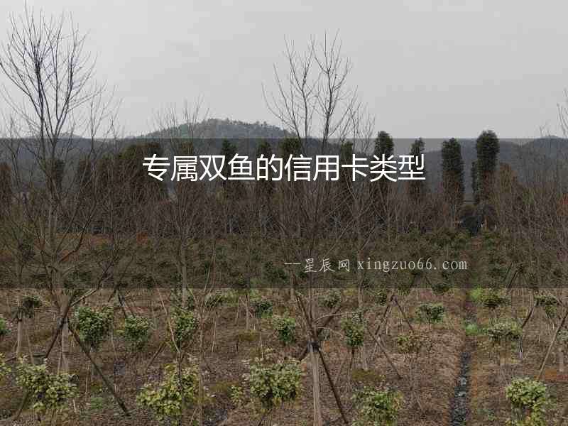 專屬雙魚的信用卡類型