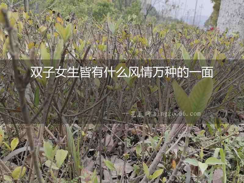 雙子女生皆有什么風情萬種的一面