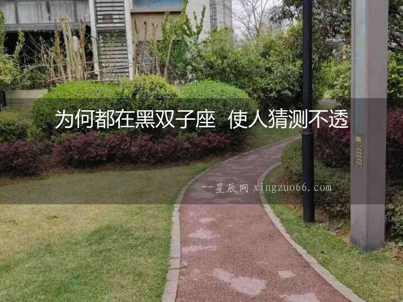 為何都在黑雙子座  使人猜測不透