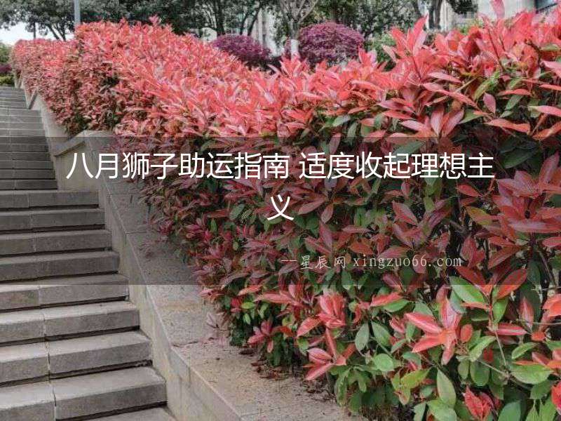 八月獅子助運(yùn)指南 適度收起理想主義