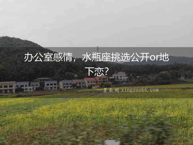 辦公室感情，水瓶座挑選公開or地下戀？