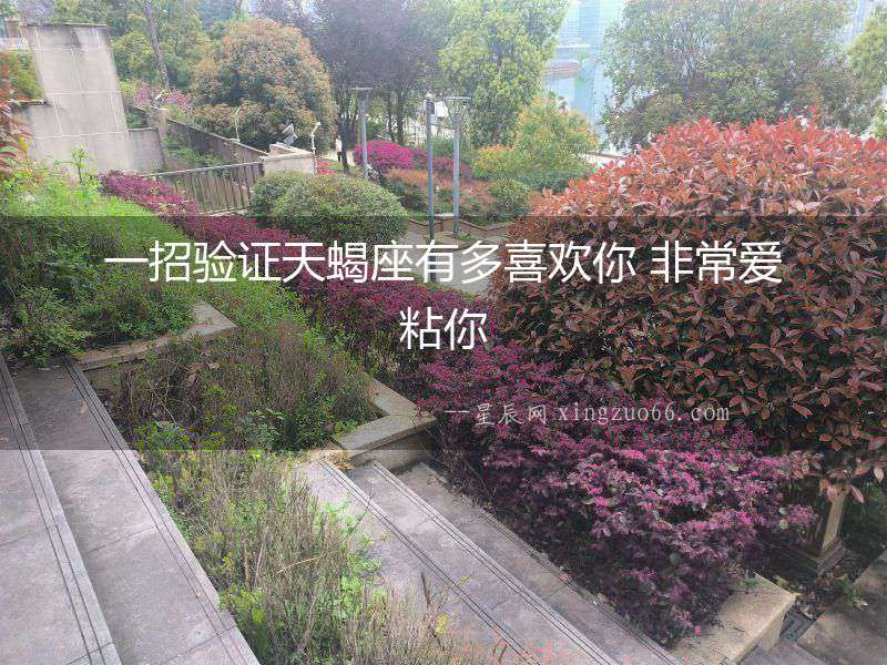 一招驗(yàn)證天蝎座有多喜歡你 非常愛粘你
