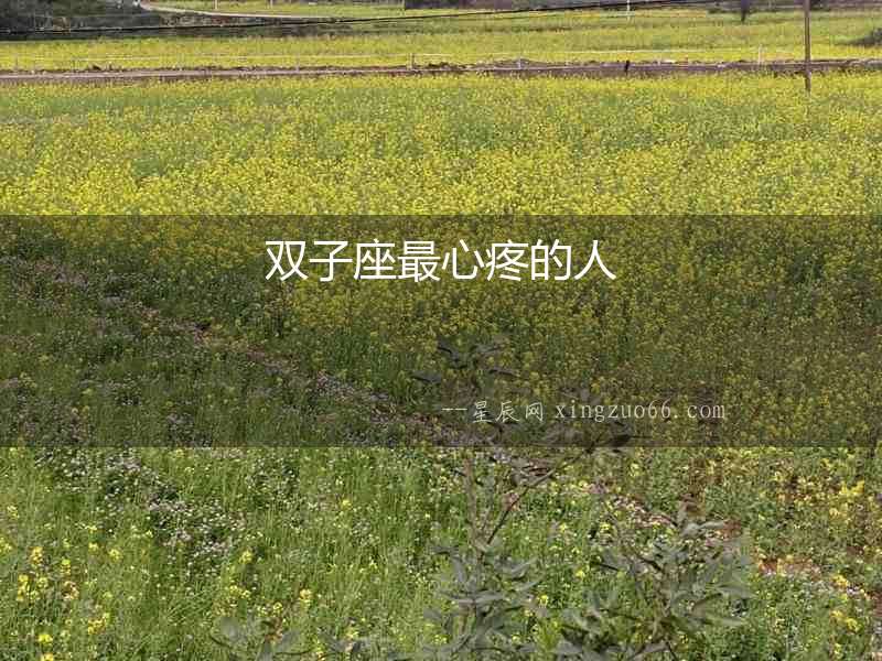 雙子座最心疼的人