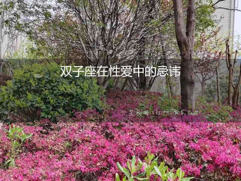 雙子座在性愛中的忌諱