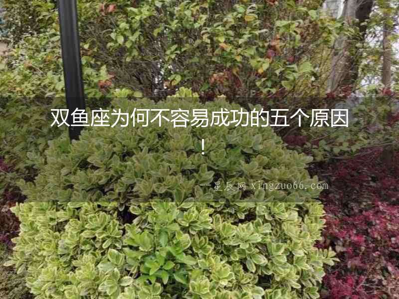 雙魚(yú)座為何不容易成功的五個(gè)原因！