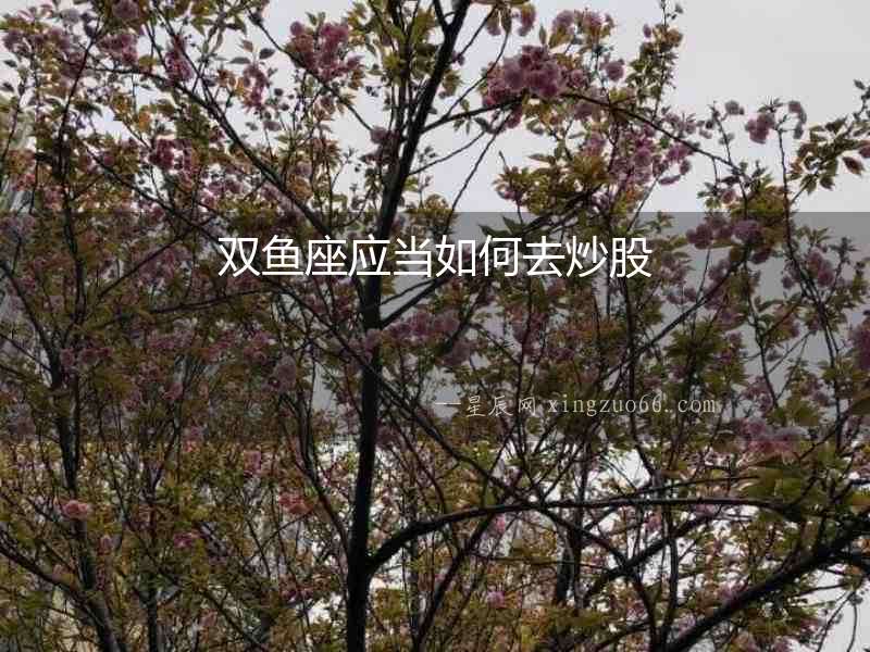 雙魚座應當如何去炒股