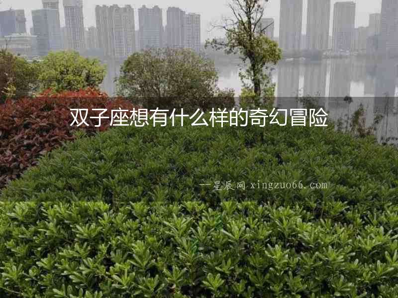 雙子座想有什么樣的奇幻冒險