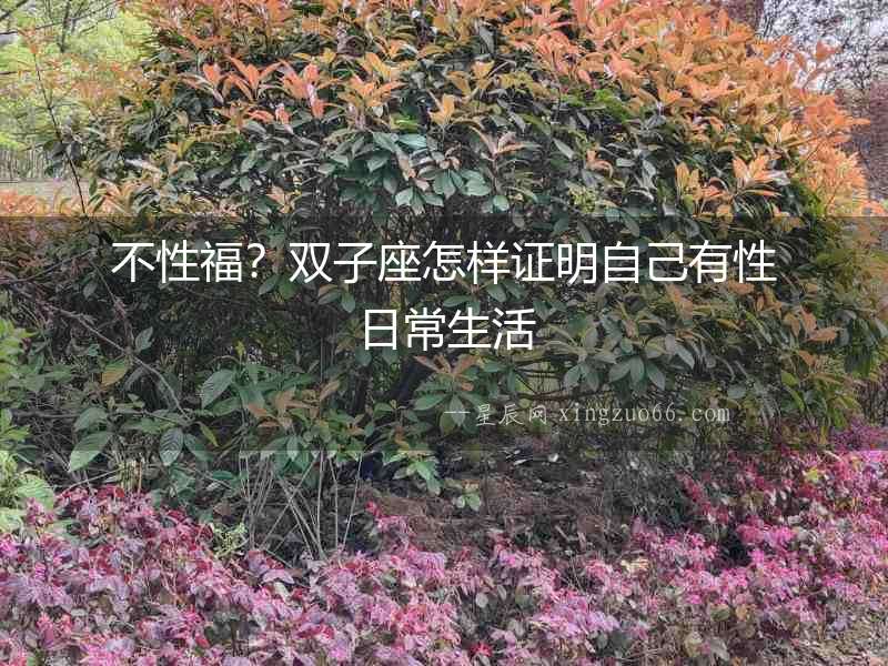 不性福？雙子座怎樣證明自己有性日常生活