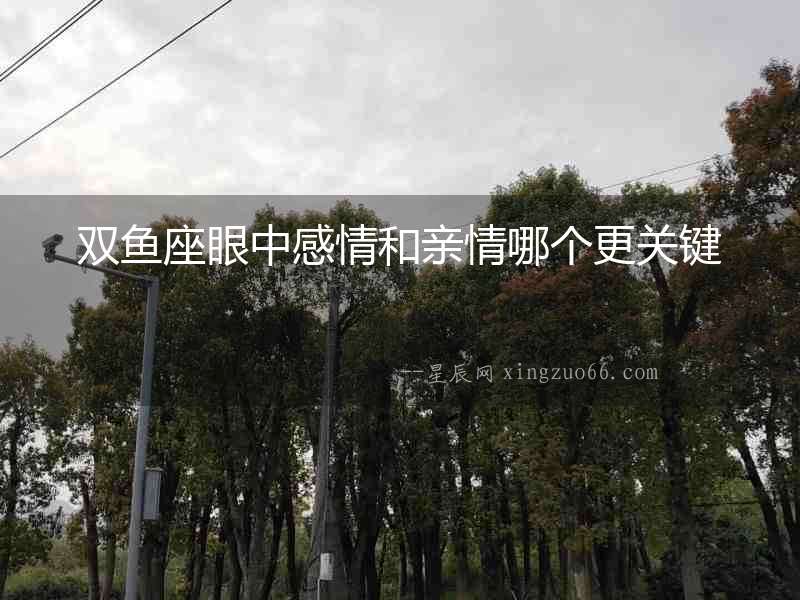 雙魚座眼中感情和親情哪個更關鍵