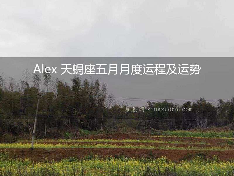 Alex 天蝎座五月月度運程及運勢