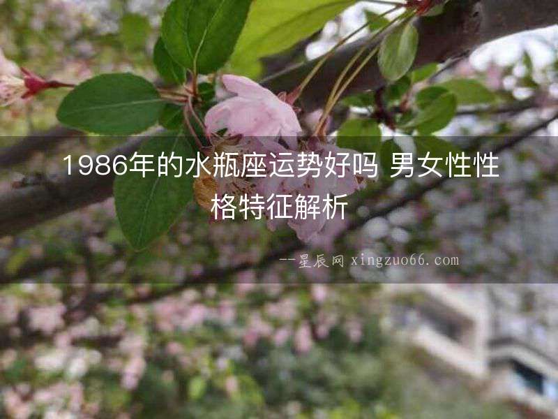 1986年的水瓶座運勢好嗎 男女性性格特征解析