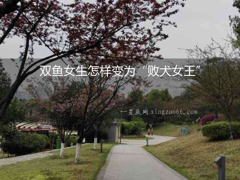 雙魚女生怎樣變為“敗犬女王”