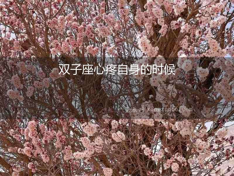 雙子座心疼自身的時候