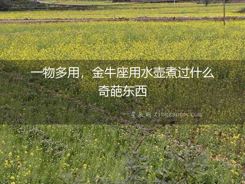 一物多用，金牛座用水壺煮過什么奇葩東西