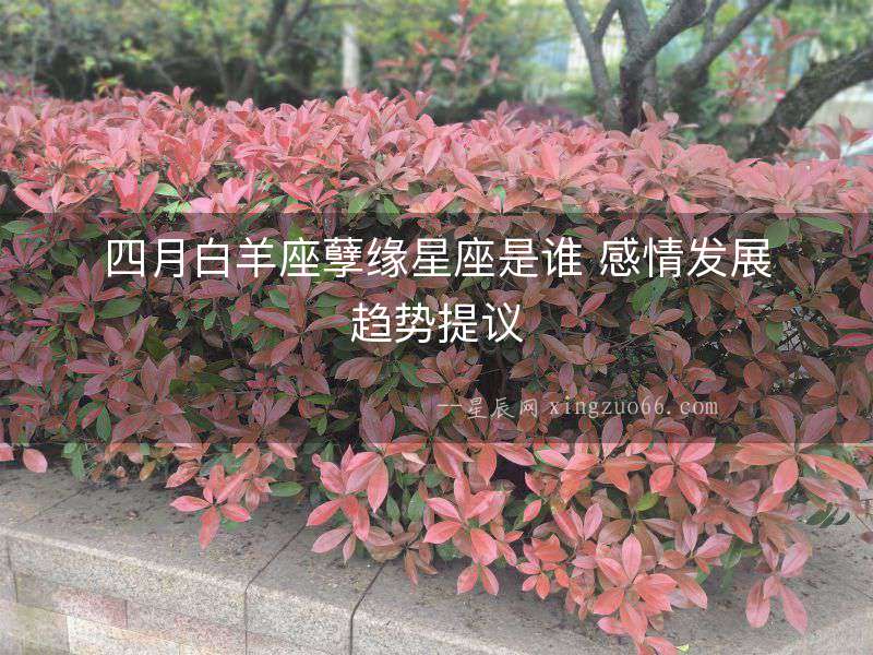 四月白羊座孽緣星座是誰(shuí) 感情發(fā)展趨勢(shì)提議