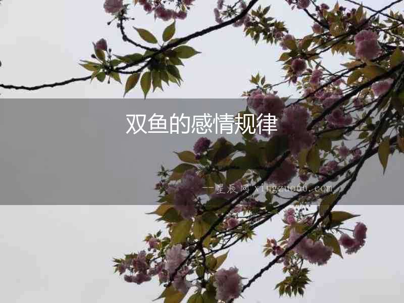 雙魚的感情規(guī)律