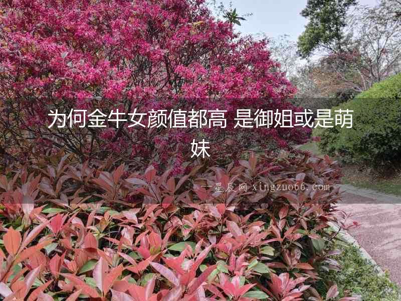 為何金牛女顏值都高 是御姐或是萌妹