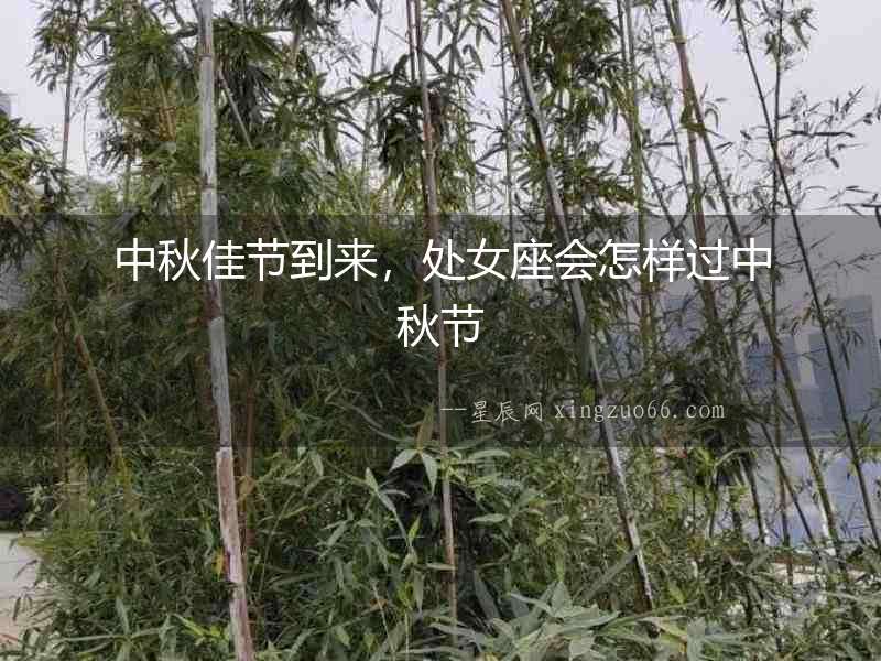 中秋佳節到來，處女座會怎樣過中秋節