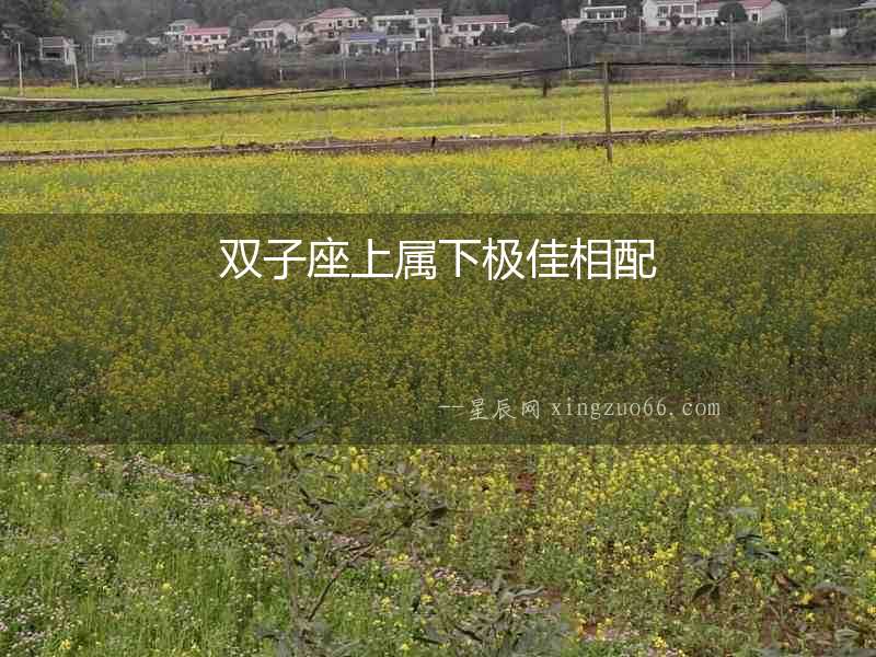 雙子座上屬下極佳相配