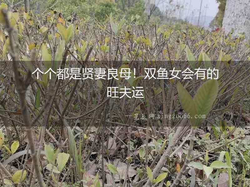 個個都是賢妻良母！雙魚女會有的旺夫運