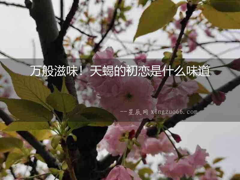 萬般滋味！天蝎的初戀是什么味道
