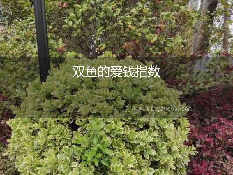 雙魚的愛錢指數(shù)