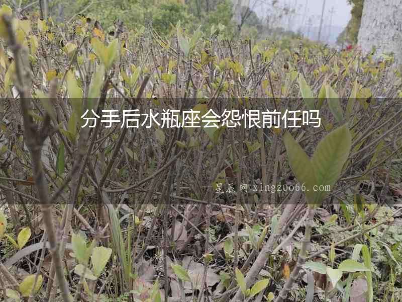 分手后水瓶座會怨恨前任嗎