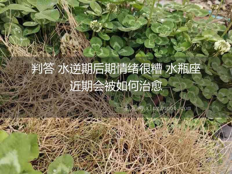 判答 水逆期后期情緒很糟 水瓶座近期會被如何治愈