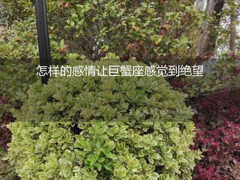怎樣的感情讓巨蟹座感覺到絕望