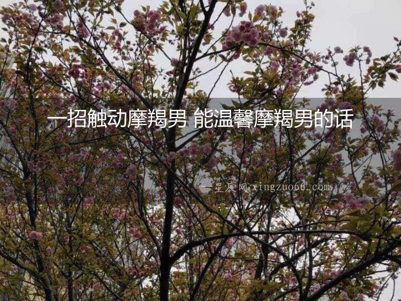 一招觸動(dòng)摩羯男 能溫馨摩羯男的話