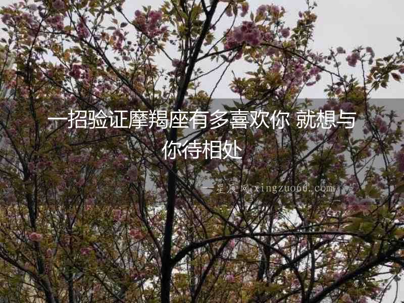 一招驗(yàn)證摩羯座有多喜歡你 就想與你待相處