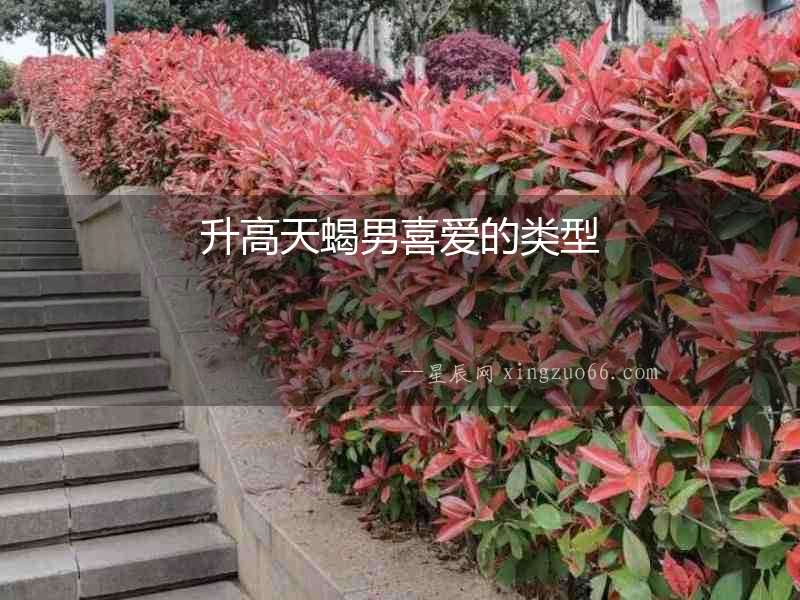 升高天蝎男喜愛的類型