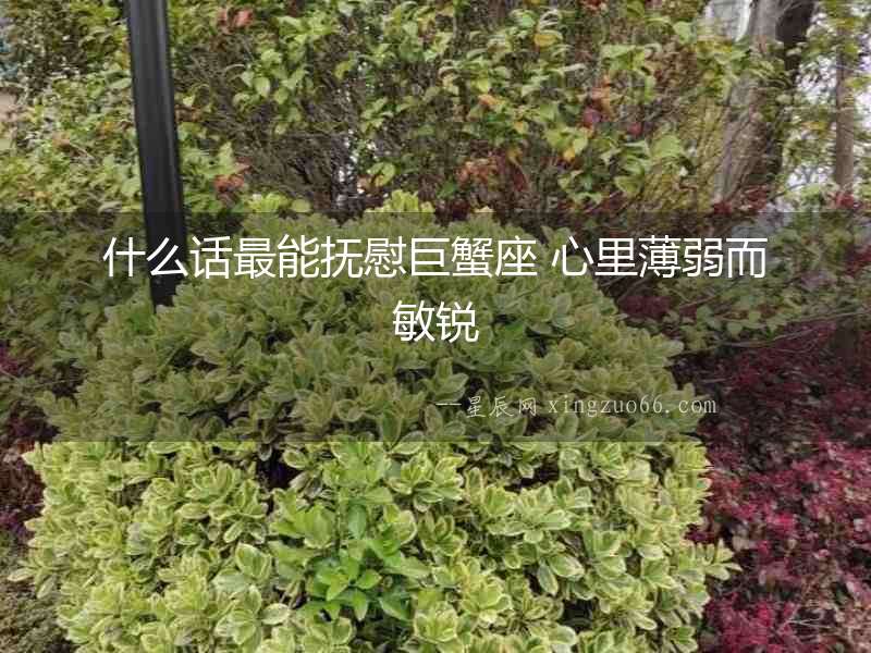 什么話最能撫慰巨蟹座 心里薄弱而敏銳