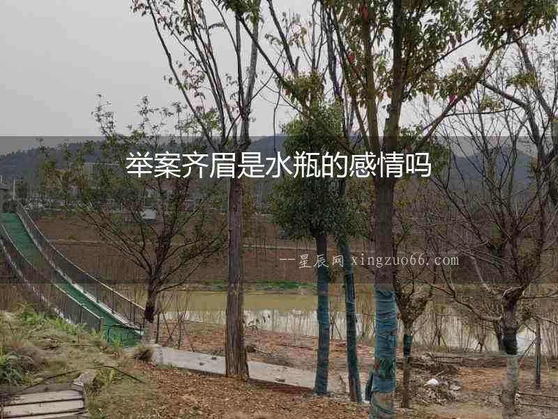 舉案齊眉是水瓶的感情嗎
