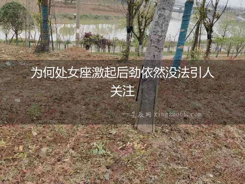 為何處女座激起后勁依然沒法引人關注